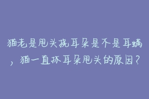 猫老是甩头挠耳朵是不是耳螨，猫一直抓耳朵甩头的原因？