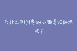 为什么刚到家的小猫喜欢舔地板？