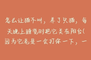 怎么让猫不叫，养了只猫，每天晚上睡觉时把它关在阳台(因为它老是一会打你一下，一会扑你一下，让人没法？