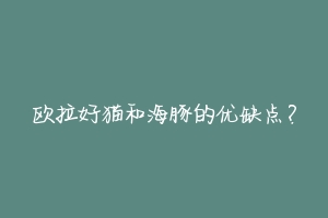 欧拉好猫和海豚的优缺点？