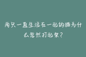 两只一直生活在一起的猫为什么忽然打起架？