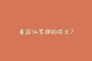 泰国仙罗猫的特点？