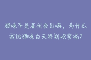 猫咪不是昼伏夜出嘛，为什么我的猫咪白天特别欢实呢？