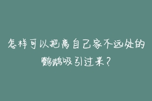 怎样可以把离自己家不远处的鹦鹉吸引过来？