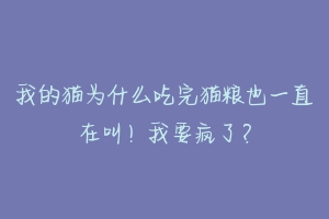 我的猫为什么吃完猫粮也一直在叫！我要疯了？