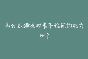 为什么猫咪对着不给进的地方叫？