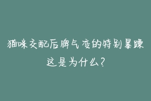 猫咪交配后脾气变的特别暴躁这是为什么？