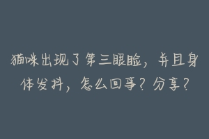 猫咪出现了第三眼睑，并且身体发抖，怎么回事？分享？