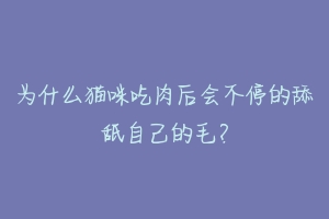 为什么猫咪吃肉后会不停的舔舐自己的毛？