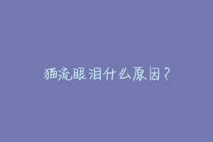 猫流眼泪什么原因？