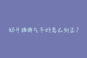 奶牛猫脾气不好怎么纠正？