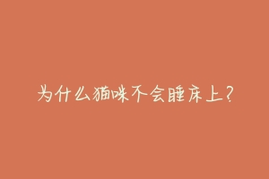 为什么猫咪不会睡床上？