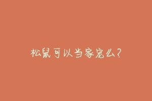 松鼠可以当家宠么？