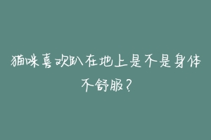 猫咪喜欢趴在地上是不是身体不舒服？