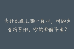 为什么晚上猫一直叫，叫的声音好可怕，吵的都睡不着？