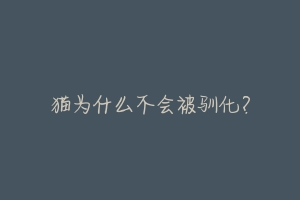 猫为什么不会被驯化？