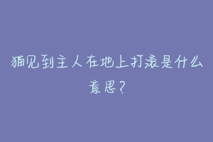 猫见到主人在地上打滚是什么意思？