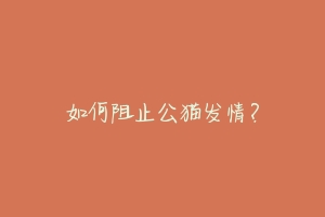 如何阻止公猫发情？