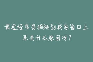 最近经常有猫跳到我家窗口上来是什么原因呀？