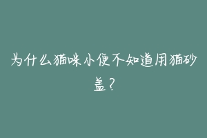 为什么猫咪小便不知道用猫砂盖？