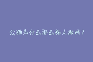 公猫为什么那么粘人撒娇？