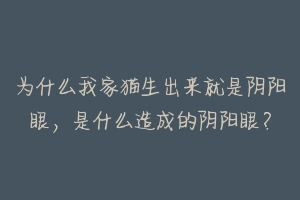 为什么我家猫生出来就是阴阳眼，是什么造成的阴阳眼？