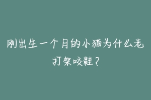 刚出生一个月的小猫为什么老打架咬鞋？