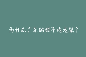 为什么广东的猫不吃老鼠？