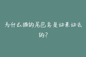 为什么猫的尾巴总是动来动去的？