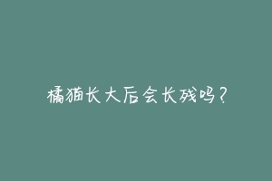 橘猫长大后会长残吗？