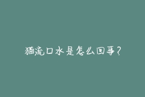 猫流口水是怎么回事？