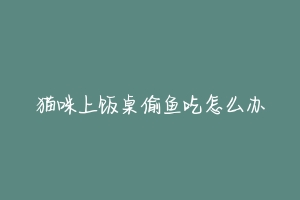 猫咪上饭桌偷鱼吃怎么办