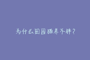 为什么田园猫养不胖？