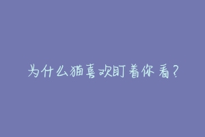 为什么猫喜欢盯着你看？