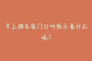 早上猫在家门口叫预示着什么呢？