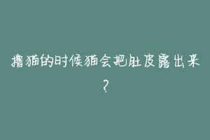 撸猫的时候猫会把肚皮露出来？