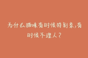 为什么猫咪有时候特别亲,有时候不理人？