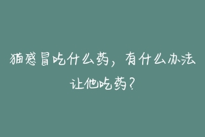 猫感冒吃什么药，有什么办法让他吃药？