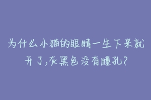 为什么小猫的眼睛一生下来就开了,灰黑色没有瞳孔？