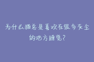 为什么猫总是喜欢在很多灰尘的地方睡觉？