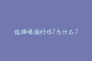 给猫喝酒好吗?为什么？