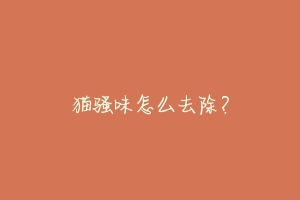 猫骚味怎么去除？