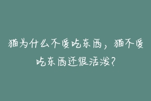 猫为什么不爱吃东西，猫不爱吃东西还很活泼？