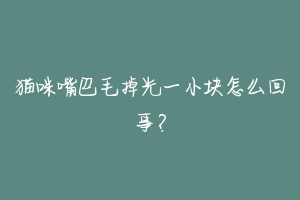 猫咪嘴巴毛掉光一小块怎么回事？