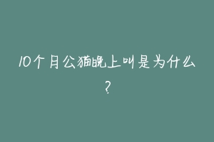 10个月公猫晚上叫是为什么？