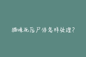 猫咪死后尸体怎样处理？