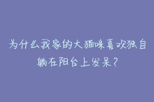 为什么我家的大猫咪喜欢独自躺在阳台上发呆？