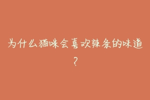 为什么猫咪会喜欢辣条的味道？