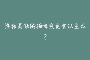 性格高傲的猫咪究竟会认主么？