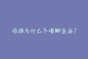 母猫为什么不喝鲫鱼汤？